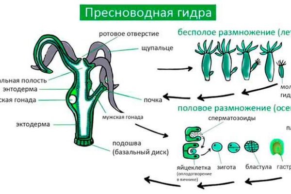 Логин пароль blacksprut 1blacksprut me