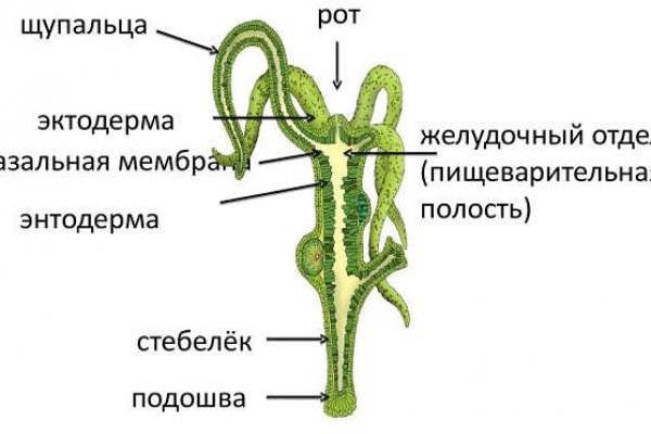 Сайты типа блэкспрут