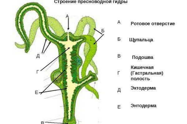 Аккаунт блэк спрут 1blacksprut me